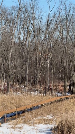 ✨ On The Market | Riverfront Living in Fremont ✨ 📍 212 Tustin Rd | Fremont, WI 💰 $739,900 🔗 https://tinyurl.com/212-tustin-rd Live right on the Wolf River 🌊🌲 This 5-bedroom, 3.5-bath home sits on 2.59 wooded acres with 160 feet of river frontage. Enjoy both river and channel access—perfect for relaxing or boating 🚤 🏡 Highlights: • 3,944 sq ft of living space • Vaulted great room with fireplace and large windows • Bright kitchen with hearth room • Main-floor primary suite with private bath