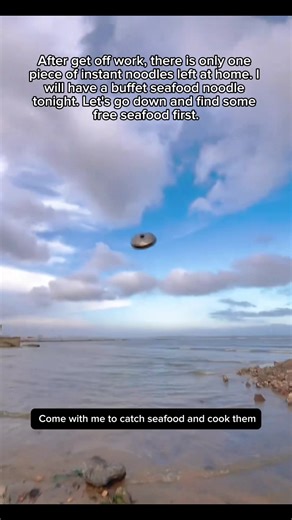 If you like seafood, come with me #sealife #seacreatures #seafood #oceanlife #fishing