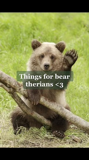 I’m sorry most of the ears weren’t very realistic they were all I could find. I’m also sorry I couldn’t find any tails #theriansoftiktok #therian #beartherian #bearkin #bear #otherkin #antizoo #foryou #fyp #fypシ #viral