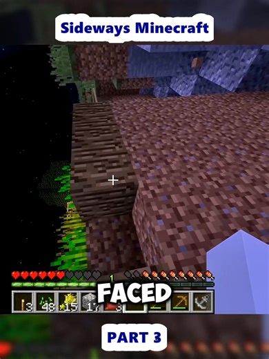 Sideways Minecraft (3)