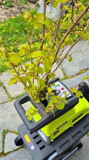 🌳The compost grinder is "eating" branches like nothing🌳 #wood #compost #shorts #shortsvideo