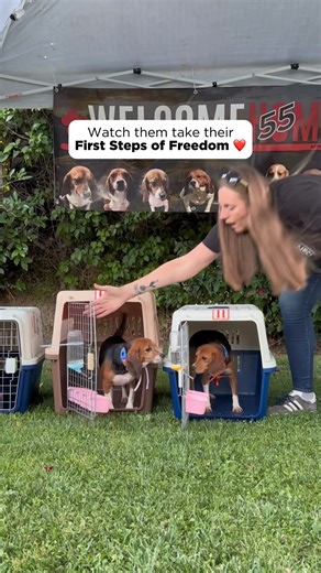 1.3M views · 84K reactions | Watch these animal-testing survivor...