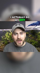 18K views · 194 reactions | Matten filters changed everything for my...