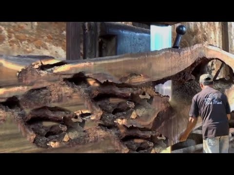 57 Seconds Before Disaster || This Broken Log Nearly Destroy The Sawmill