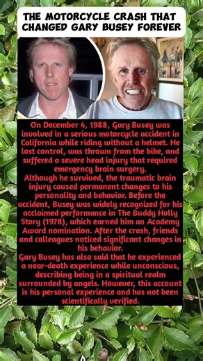 The Motorcycle Crash That Changed Gary Busey Forever