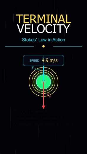 Visualization of Terminal velocity #physics #fluidmechanics #chemicalengineering