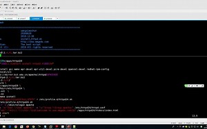 3脚本实现一键安装httpd和ubuntu软件包管理