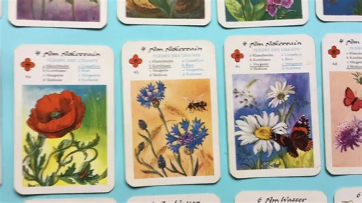 Vintage Card Game – 1950s Flower Quartet Deck. German Botanical Playing Cards - Etsy