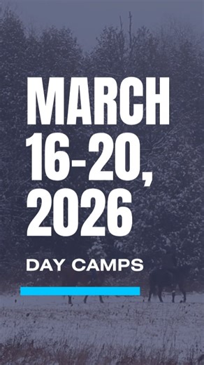Teen Ranch Canada on Instagram: "More than childcare — March Break days your kids will actually be excited about. 📍 Teen Ranch — Caledon, ON All the details and registration at teenranch.com"
