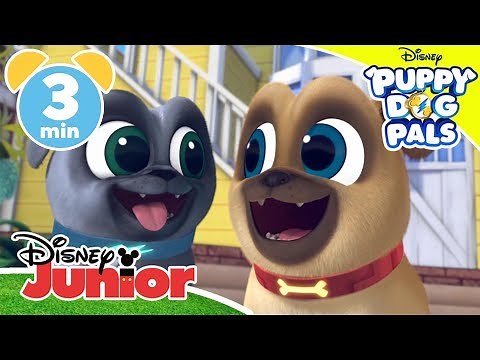 Playtime With Puppy Dog Pals | Boxing Day! 📦 | Disney Kids