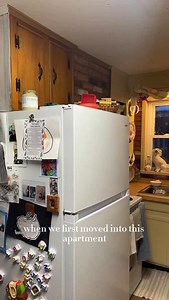 1.6K views · 663 reactions | Which do you prefer? The yellow or the green? Paint color is Lichen by fusion mineral paint and my code: SamHolleyfmp saves you $ on their site :) not sponsored but I love their paint so much! Doesn’t chip or scratch #cozy #cottagecoreaesthetic #kitchen #diy #cozyhome | Sam Holley | Facebook