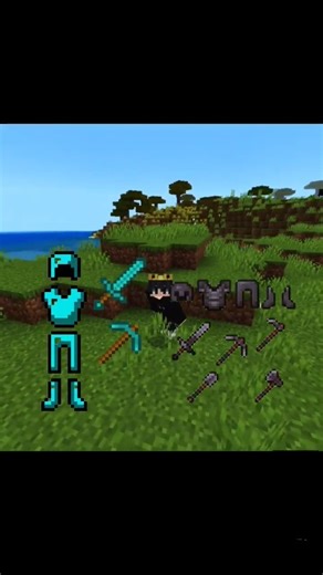 Minecraft most useful item 💀