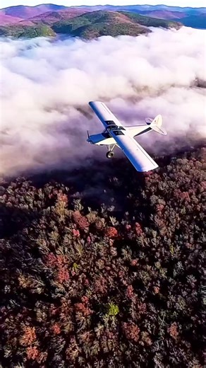 "🛩️ **Sky Dance: Light Aircraft Formation** 🌤️ Witness the elegance of flight in this breathtaking VFR formation. Perfectly synchronized, effortlessly graceful. #FormationFlying #AviationBeauty" 👀 **Watch, Like, and Follow for more aerial artistry!** ✨ #pilotlife #theskyisthelimit The Sky's The Limit | The Sky's The Limit