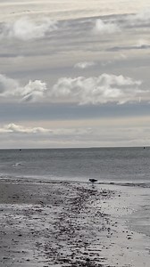 19K views · 670 reactions | Bank Street Beach - Harwich Port - Cape Cod - February 2025 - Video by: Mark Filteau Cape Cod, Massachusetts | Cape Cod, Massachusetts | Facebook