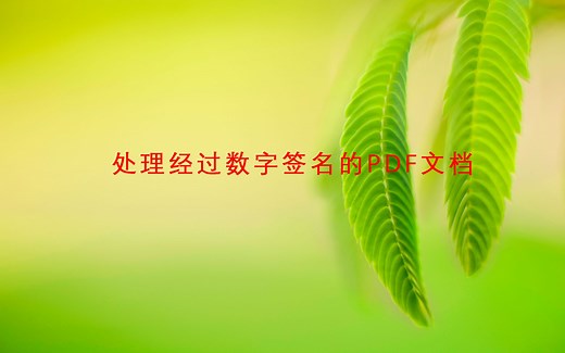 如何使用和处理数字签名的PDF文档