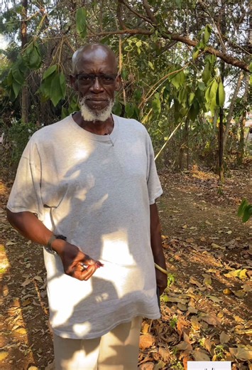 Rayudhi Tree: Nature's Guardian Against Bad Intentions