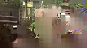 #singing #frommullingarinmullingar #raydolan #makemeanisland 1466 #makemeanisland | Ray Dolan from Mullingar in Mullingar