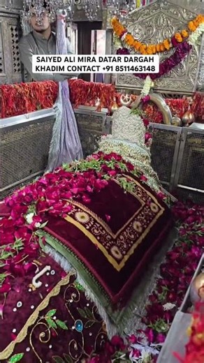 mira datar dargah sharif New qawwali whatsapp 😍status video 📷 dargah sharif contact +918511463148
