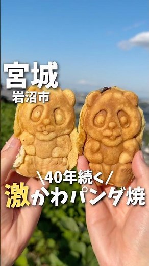 【宮城グルメ】40年続く伝統の味！激かわパンダ焼き🐼#宮城旅行 #宮城観光 #宮城グルメ #仙台旅行 #仙台観光 #仙台グルメ #japanesefood #japantravel #shorts
