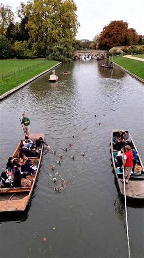 🐥🛶 Ducks seem to enjoy punting too — especially when they’re being fed (hopefully something healthy! 🥬😉). Punting in Cambridge combines beautiful bridges, stunning university buildings, and wild duck life 🦆🏰💛 #Cambridge #Punting #Ducks #RiverCam #UKVibes #TravelMoments #UniversityVibes #NatureLovers #StudentLife #GoodVibes | Cambridge # Visit My City UK