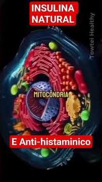 Dr Thiago Rocha dá dica de ouro para diabéticos e alérgicos.