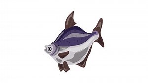 Bluegill Fish Icon Animation Best On Stock Footage Video (100% Royalty-free) 1064504929 | Shutterstock