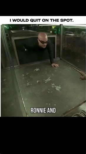 MOVIESTIMES on Instagram: "That clip is enough to make anyone’s skin crawl! Watching the contestants face off against a tray of rats and a massive python is the ultimate test of nerves. The contrast between the sheer terror on Tyler’s face as the snake wraps around her and the other contestant's bizarre excitement—comparing the intensity to a kid eating too much Halloween candy—is exactly why this show remains a cult classic. It’s the kind of high-stakes, stomach-turning challenge that makes you