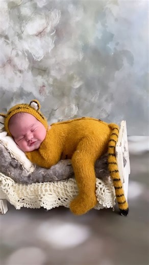 35K views · 101 reactions | The cutest tiger  | Ramina Magid Photography | Facebook