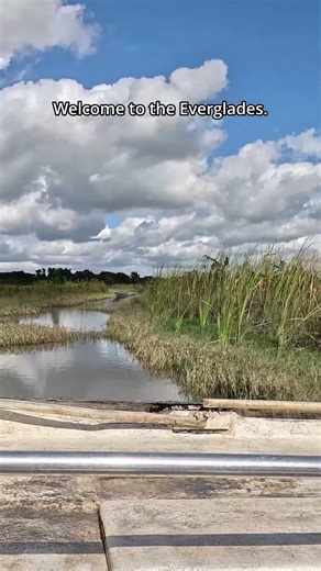 Florida’s Wildest Boat Ride Through the Everglades