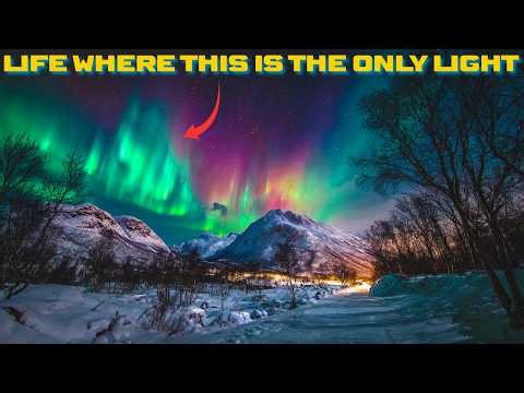 Arctic Life Surviving DARKNESS & COLD: POLAR NIGHT in a Van! Extreme Winter Camping & Snow Storm