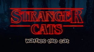 885K views · 21K reactions | #StrangerThings starring Mewllie, Furnn, Caten and Catleb | Waffles the Cat | Facebook