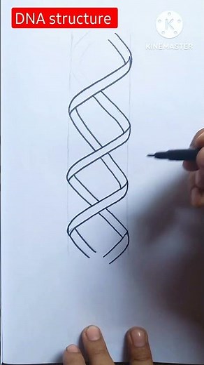 How to draw DNA Easily ✅#shorts #youtubeshorts #viral #biology #drawing #viralvideo #reels
