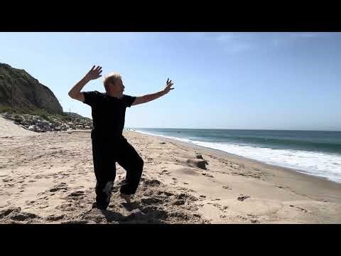 Kung Fu San Soo Fighting Form 30