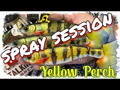 How To Paint A Yellow Perch Pattern (NEW SPRAY SESSION) 08/07/2024