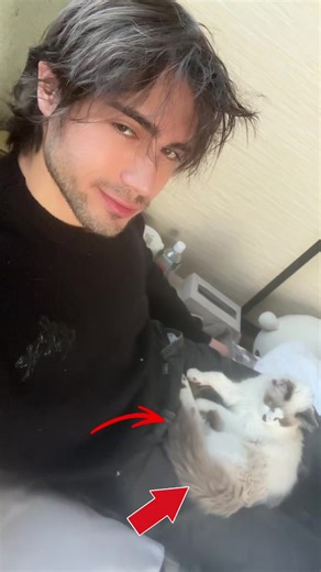 Geno (@geno.v)’s videos with original sound - lyricloo