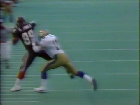 August 8, 1991 - CFL - Winnipeg Blue Bombers @ Ottawa Rough Riders