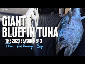 Giant Bluefin Tuna West Coast Mission | S2 Ep120 - The Fishing Log #bluefin #tuna #adventure