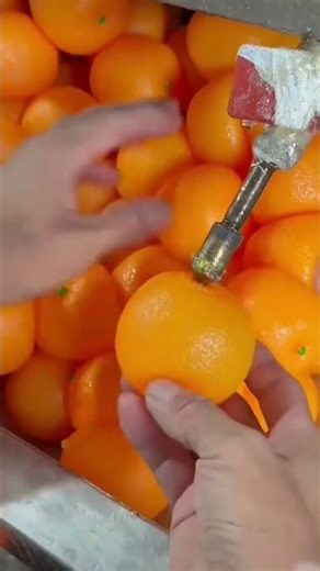 jindagi ka sabse bada Sach ye hai #sortfeed