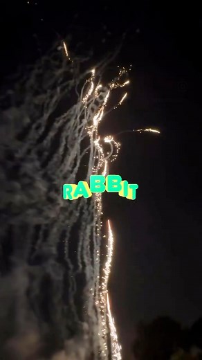 #rabbit wake up #Fireworks #Fireworkss305 #pyrohead305 #miamipyro #120s #holidayseason #4th of July #New Years #Rabbit wake up | Fireworkss305
