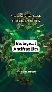 Heat-Shock Proteins: The Cellular Training That Builds Antifragile Decision-Making #sleepsolution
