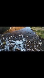 21 reactions · 3 comments | #flyfishing #whitewaterwednesday #flyfishinglife #tetonvalley #idaho #letsgofishing #flyfishingaddict #flyfishingnation #flyfishingjunkie | Teton Valley Lodge | Facebook