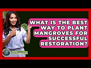 What Is The Best Way To Plant Mangroves For Successful Restoration? - Earth Science Answers