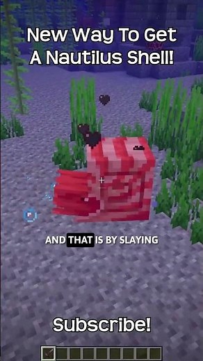 A New Way To Get Nautilus Shells In Minecraft!