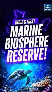 Why Gulf of Mannar Is Losing Its Shorebirds | India’s First Marine Biosphere Reserve | NEXT IAS