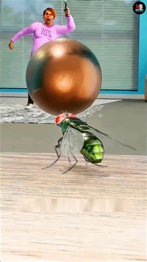 Can a fly dodge a bullet? 😱🪰