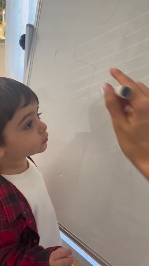 Fairies Garden on Reels