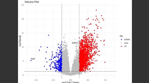 DESeq2线性趋势分析（差异性检验全流程）
