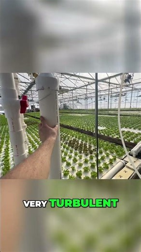 Oxygen's Secret: How This System Works! #shorts