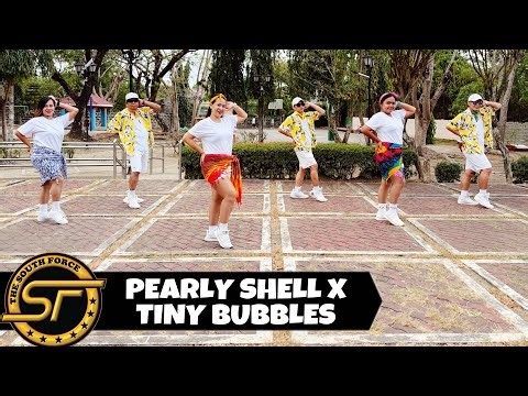 PEARLY SHELL X TINY BUBBLES ( Dj Renz John Remix ) - Retro | Dance Fitness | The South Force