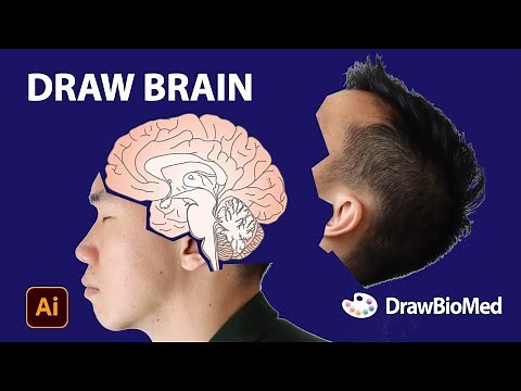 How to draw Human Brain | Medical Illustration | Graphical Abstract | Scientific Illustration